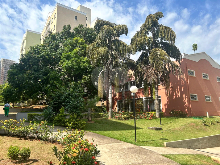 Foto REO1059706