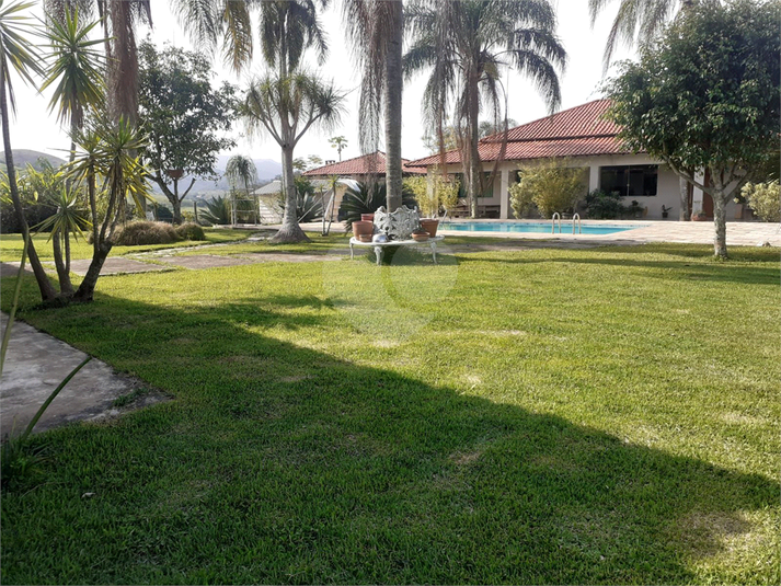 Foto REO1059739