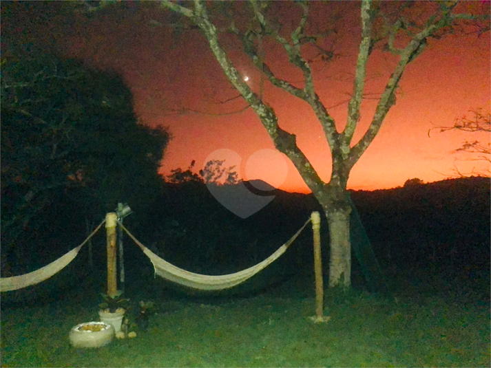 Foto REO1059739