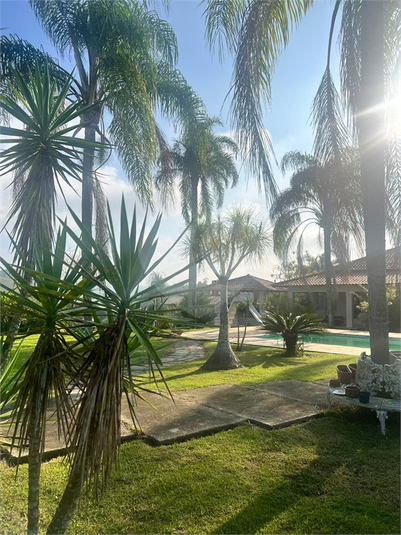 Foto REO1059739