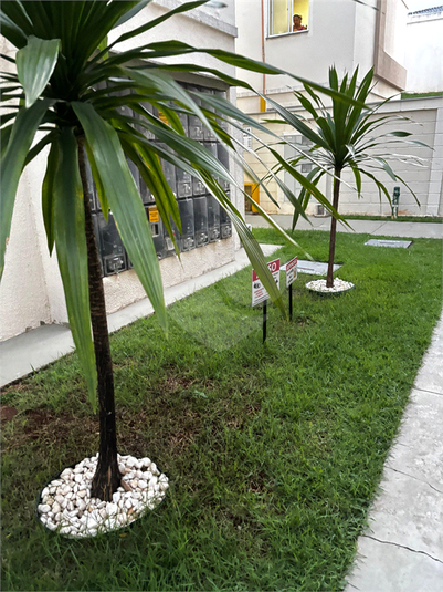 Venda Apartamento Campinas Jardim São Pedro De Viracopos REO1059755 31