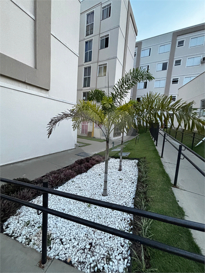 Venda Apartamento Campinas Jardim São Pedro De Viracopos REO1059755 30