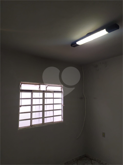 Foto REO1059761