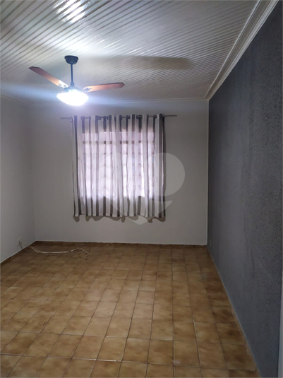 Foto REO1059761
