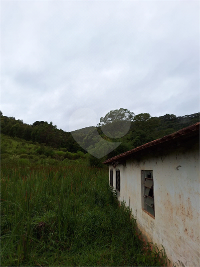 Foto REO1059773