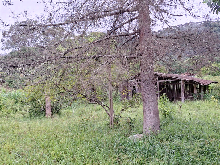 Foto REO1059773