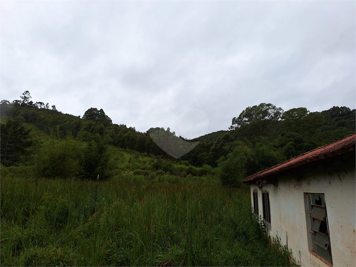 Foto REO1059773