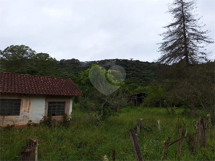 Foto REO1059773
