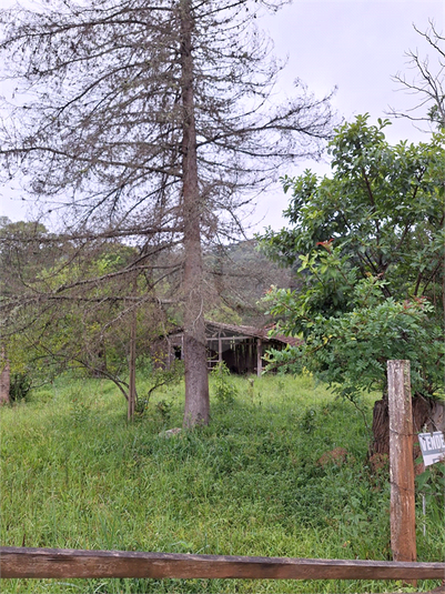 Foto REO1059773