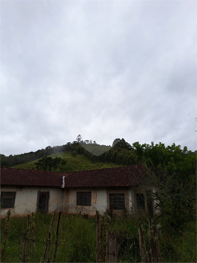 Foto REO1059773