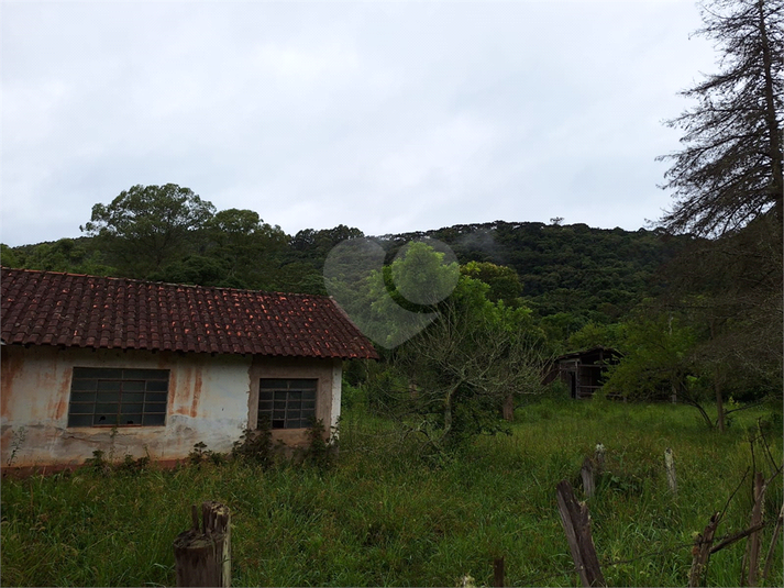 Foto REO1059773