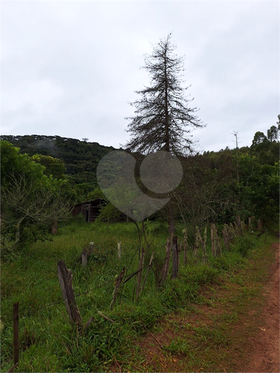 Foto REO1059773
