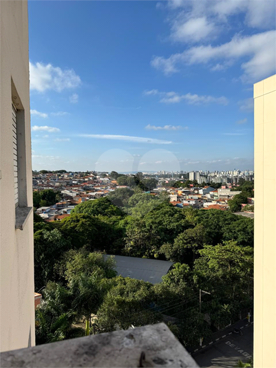 Venda Apartamento São Paulo São João Clímaco REO1059779 19