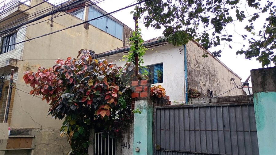 Venda Terreno São Paulo Vila Guilherme REO1059808 9