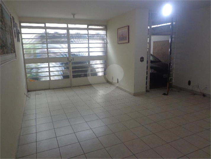 Foto REO105984