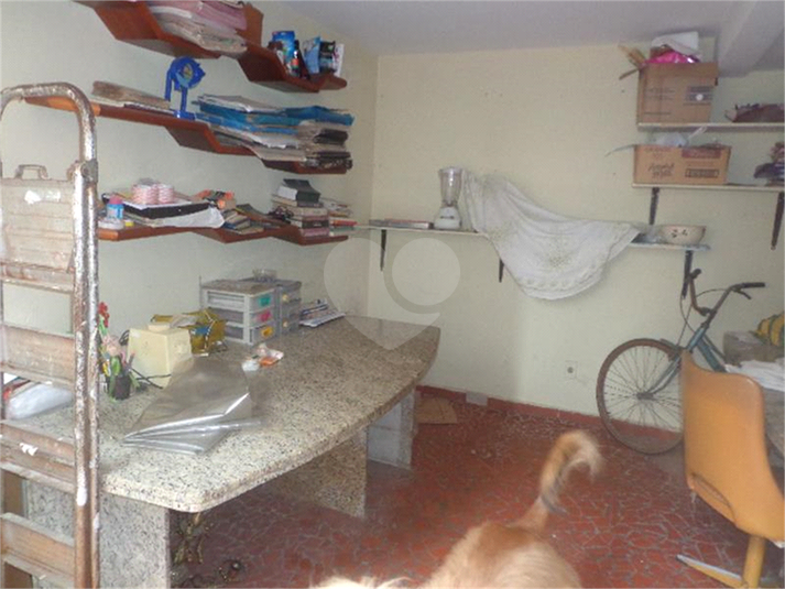 Foto REO105984