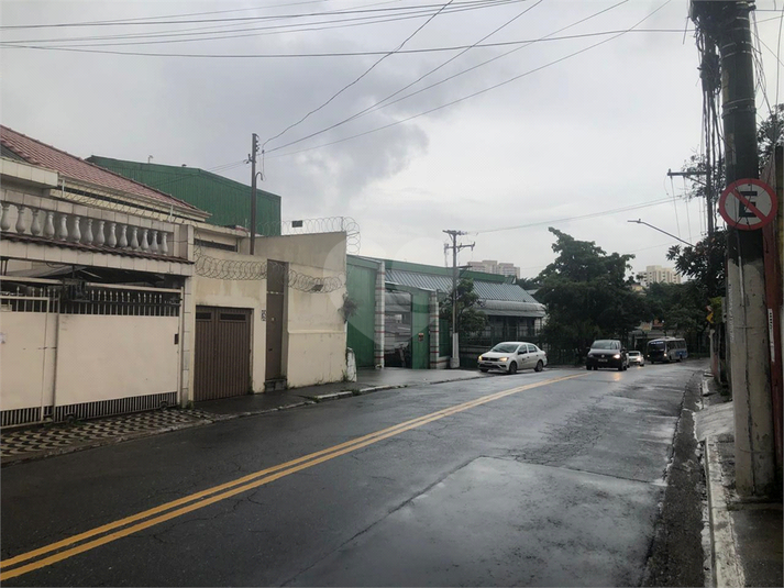 Foto REO1059896