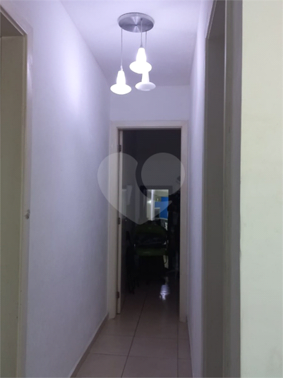 Foto REO1059911