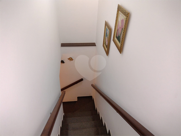 Foto REO1059919