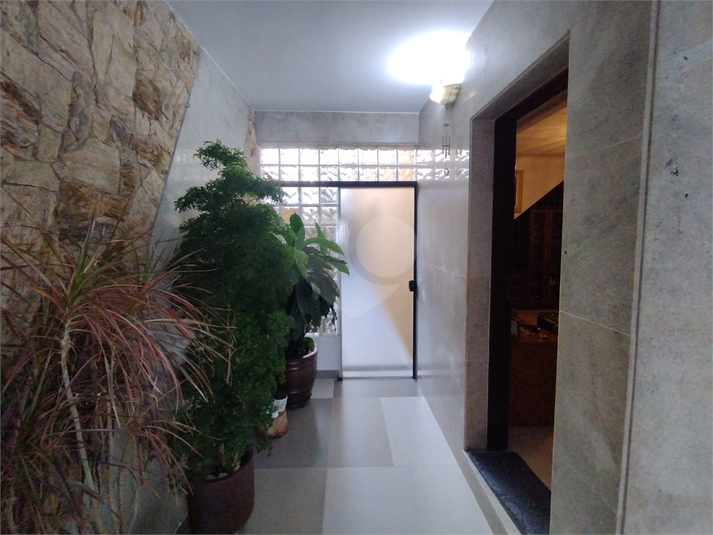 Foto REO1059919