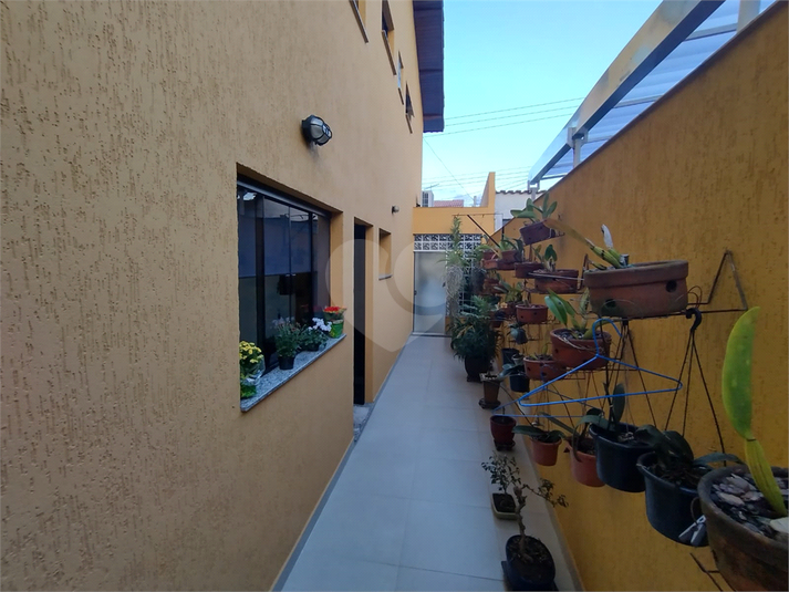 Foto REO1059919