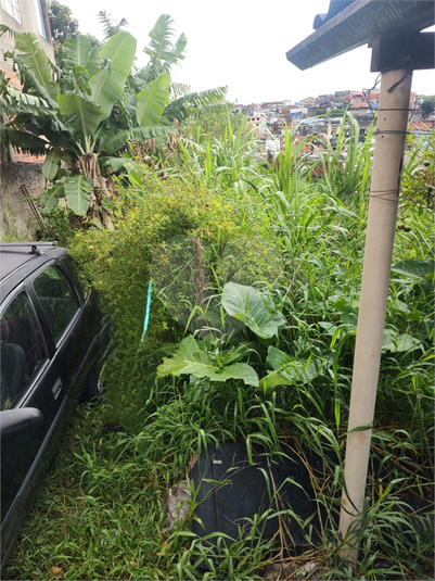 Venda Terreno São Paulo Americanópolis REO1059928 6