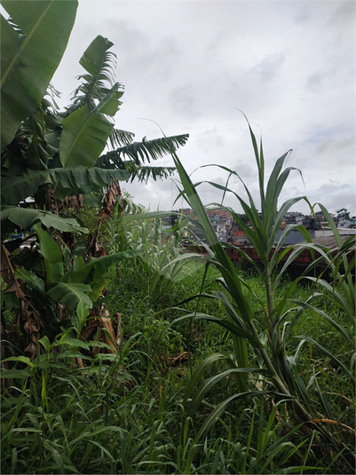 Venda Terreno São Paulo Americanópolis REO1059928 7