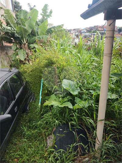 Venda Terreno São Paulo Americanópolis REO1059928 5