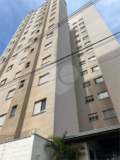 Venda Apartamento São Carlos Jardim Dona Francisca REO1059934 2