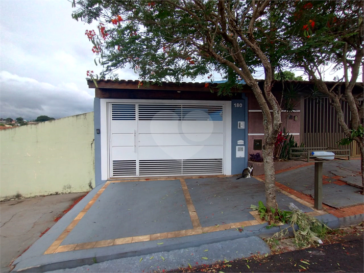 Foto REO1059961