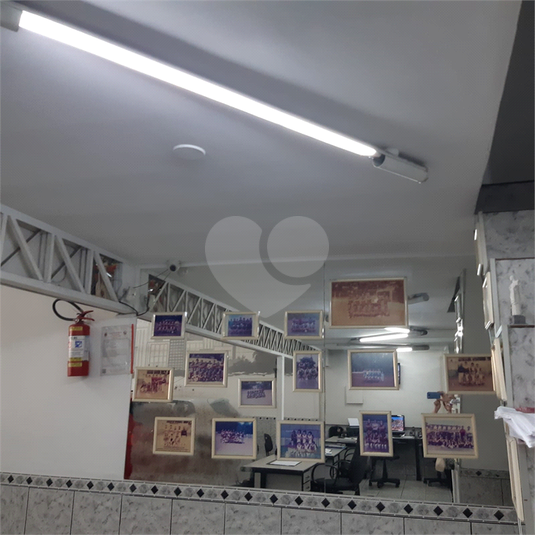 Foto REO1060017
