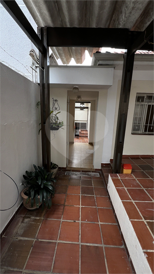 Aluguel Casa São Paulo Vila Isolina Mazzei REO1060043 4