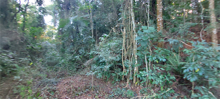 Foto REO1060126
