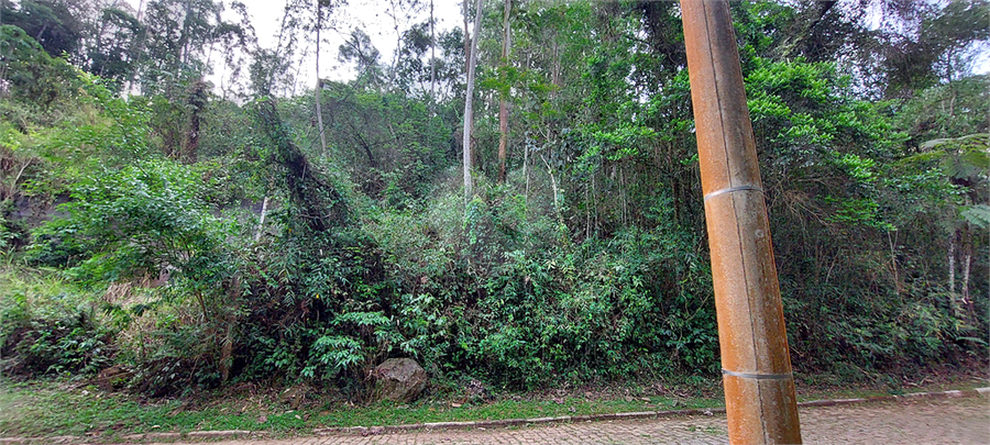 Foto REO1060126