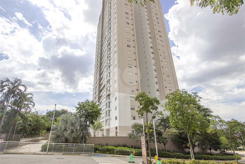 Aluguel Apartamento São Paulo Jardim Monte Kemel REO1060256 45