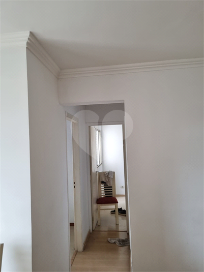 Aluguel Apartamento São Paulo Vila Isa REO1060305 8