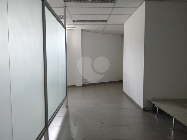 Foto REO1060324