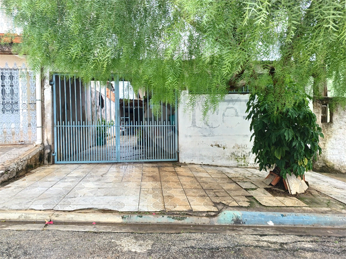 Foto REO1060484