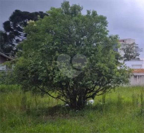 Venda Terreno Curitiba Alto Da Rua Xv REO1060493 5