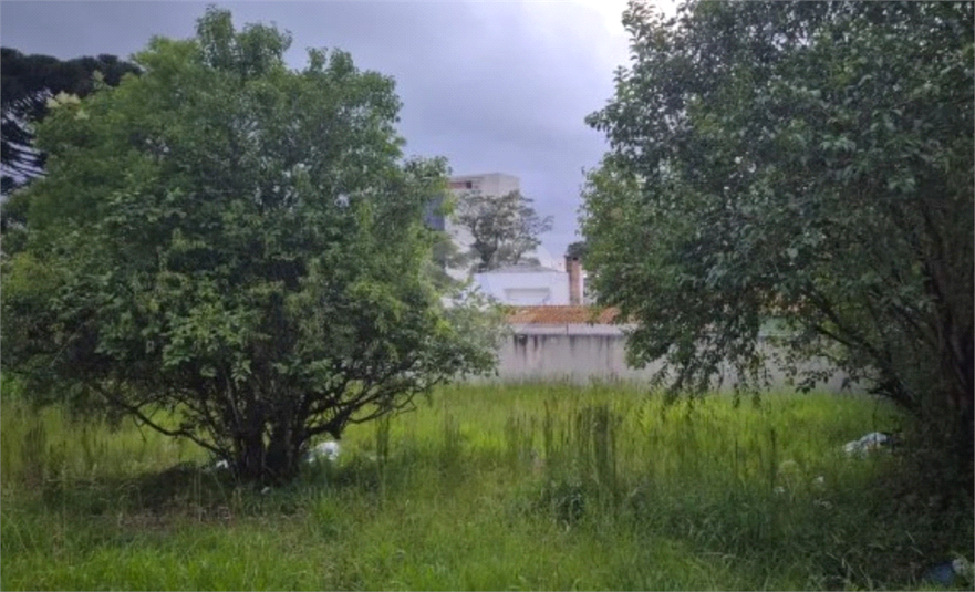 Venda Terreno Curitiba Alto Da Rua Xv REO1060493 13