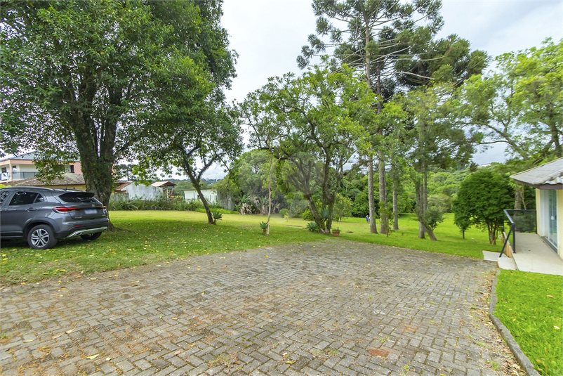 Foto REO1060535