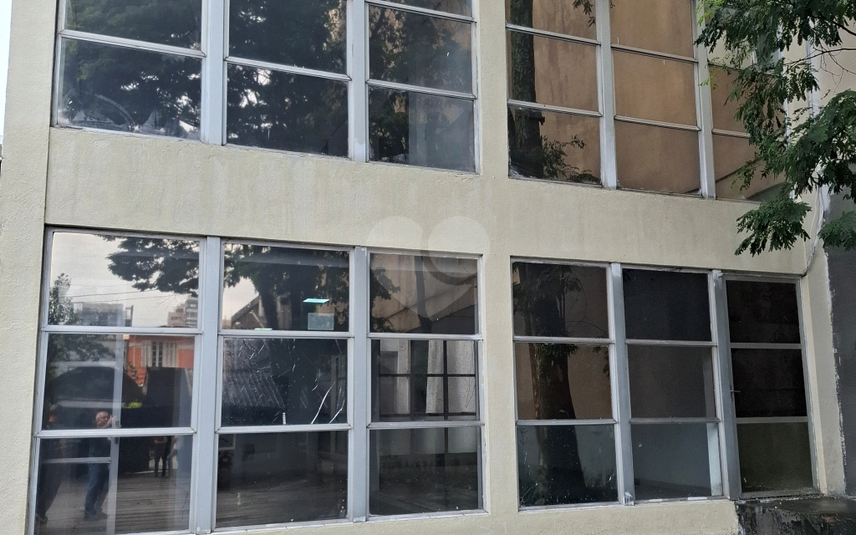 Foto REO1060546