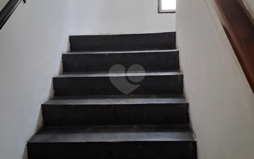 Foto REO1060546