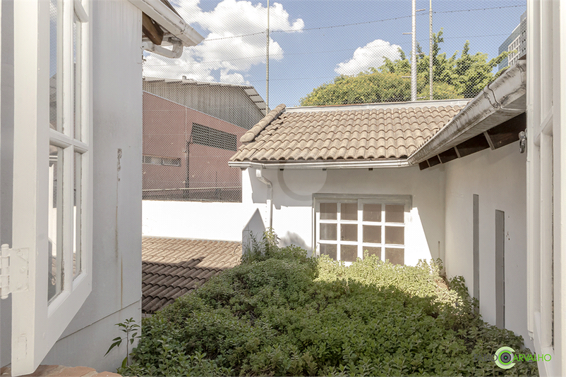 Foto REO1060856