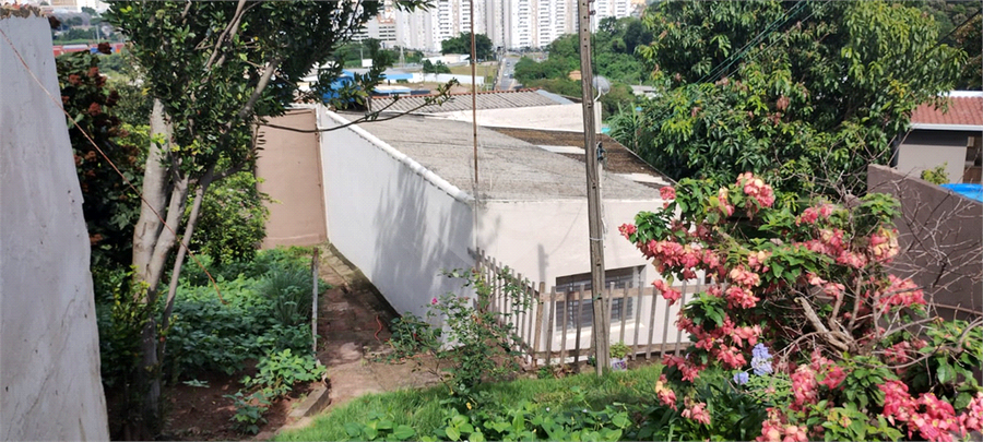 Foto REO1060866