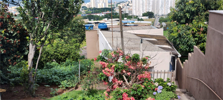 Foto REO1060866