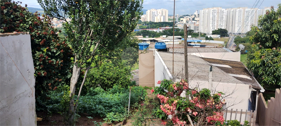 Foto REO1060866