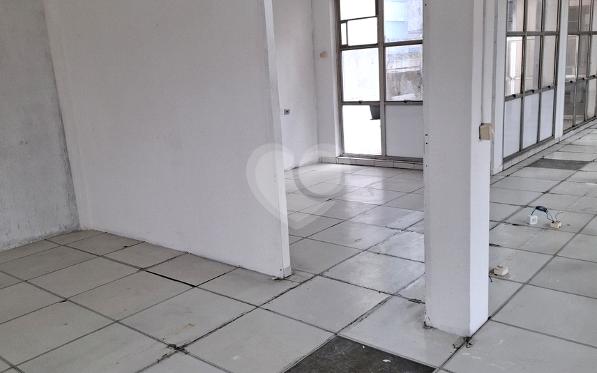 Foto REO1060887