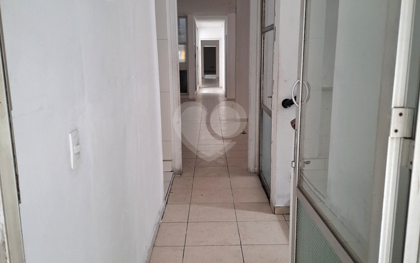 Foto REO1060887