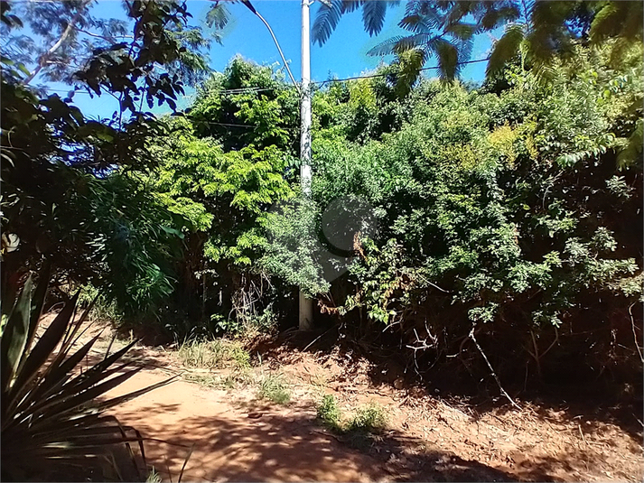 Foto REO1060950